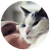 Getting A Cat