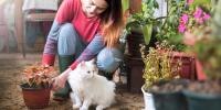 owner planting flowers with white cat