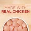 Made with real chicken