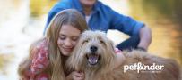 Person hugging dog