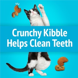 Crunchy Kibble Helps Clean Teeth