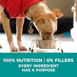 100 percent nutrition, 0 percent fillers, every ingredient has a purpose