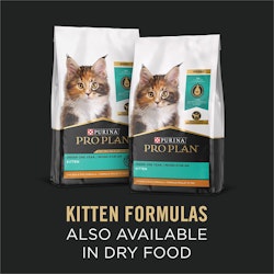Kitten Formulas Also Available In Dry Food
