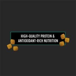 Purina Pro Plan Veterinary Diets EN Gastroenteric Canine Dog Food Dry Formula