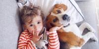 Un beagle acostado en un sofá al lado de un niño pequeño. Ambos miran a la cámara.