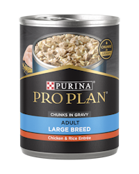 Purina Pro Plan Adult Large Breed Chicken & Rice Entrée Chunks In Gravy Wet Dog Food