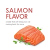 Salmon flavor. A taste that will keep your cat coming back for more.