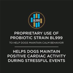 Proprietary use of probiotic strain BL999 to help dogs maintain calm behavior. Helps dogs maintain positive cardiac activity during stressful events.