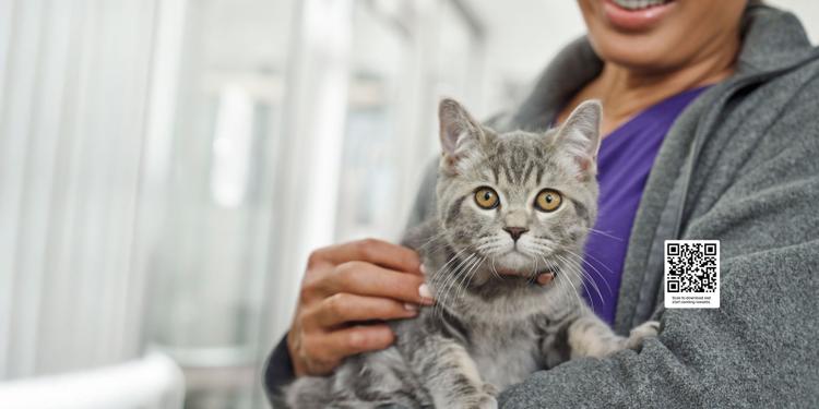Reward Your Pets While Helping to Save Others