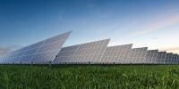 Solar Power at Purina 