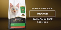 Fórmula de alimento para gatos Purina Pro Plan Indoor de arroz y salmón para gatos domésticos