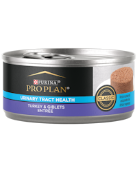 pro plan urinary tract health turkey giblets wet cat food
