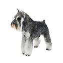 Miniature Schnauzer