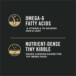 croquetas pequeñas, ricas en nutrientes, con ácidos grasos omega 6