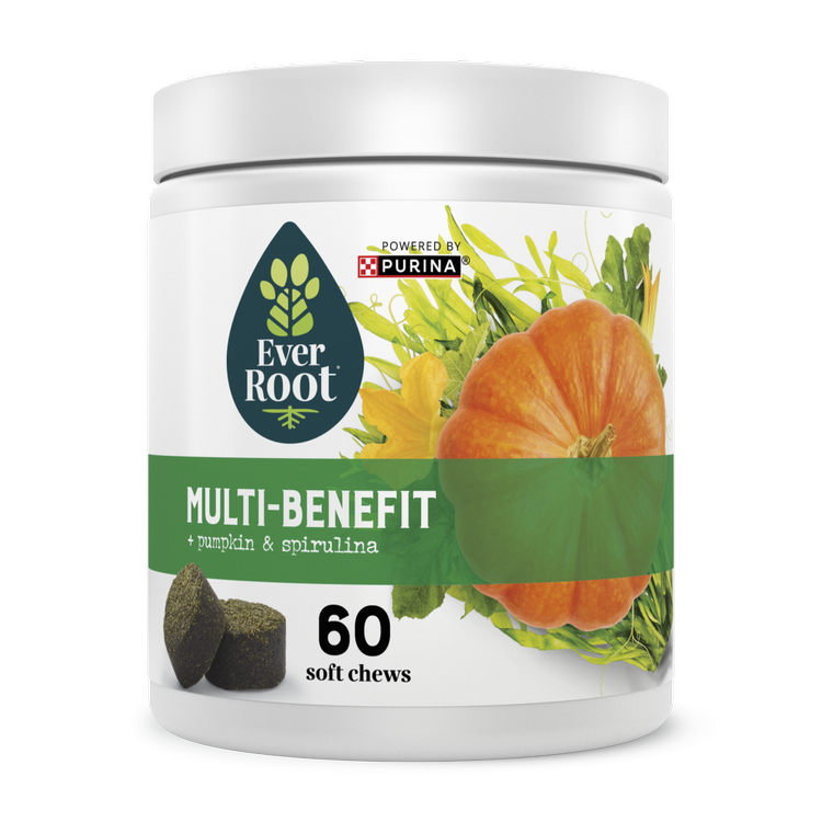 Can Dogs Take Human Vitamins Supplements Purina US can-dogs-take-human-vitamins-supplements-purina-us