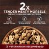 2x Tender Meaty Morsels 