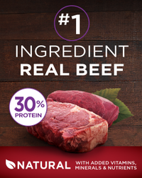 purina one beef & bison natural