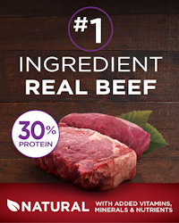 purina one beef & bison natural