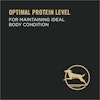 Optimal protein level for maintaining ideal body condition