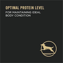 Optimal protein level for maintaining ideal body condition