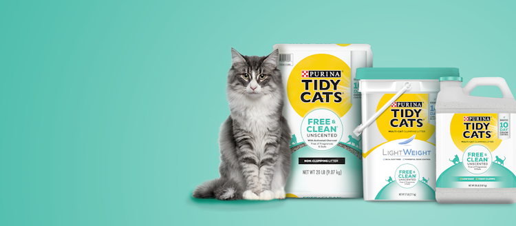 Tidy Cats free and clean cat little