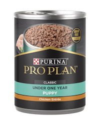 Purina Pro Plan Development Grain Free Puppy Classic Chicken Entrée Classic Wet Dog Food