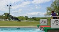 pool at purina farms