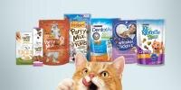 A cat looking at a group of cat treats