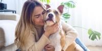 persona abrazando un perro marrón y blanco