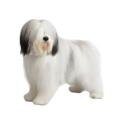 Polish Lowland Sheepdog