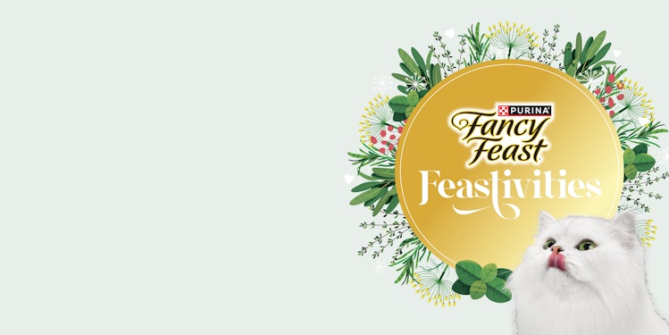 Cartel circular dorado de Feastivities con hojas y flores verdes y el gato blanco de pelo largo de Fancy Feast en primer plano