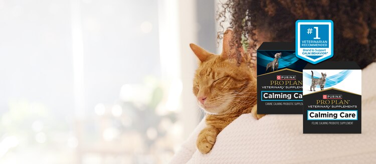 A woman holding a red cat on the background of packages 
