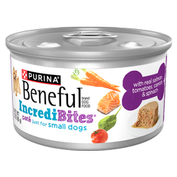 beneful incredibites wet pate salmon dog food