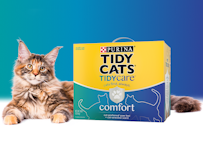 long haired cat next to Tidy Cats Tidy Care Comfort cat litter