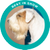Ganador del grupo de los terrier, Stache, Sealyham Terrier