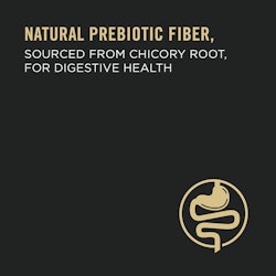 Natural prebiotic fiber, sourced from chicory root, for digestive health