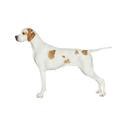 Pointer