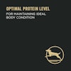 Optimal protein level for maintaining ideal body condition.
