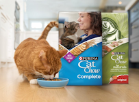 Cat Chow dry cat food product 