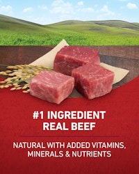 Number 1 ingredient real beef