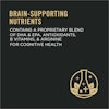 brain supporting nutrients