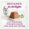 fancy feast gems beef pyramid