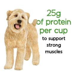 25 grams of protein per cup