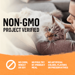 Sin organismos modificados genéticamente (genetically modified organism, GMO)