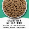 grain free & nutrient rich