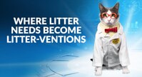 donde las necesidades de la arena para gatos se convierten en soluciones