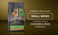 Products Pro Plan Small Breed Chicken & Rice Formula