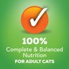 100% complete and balanced nutrition for cats