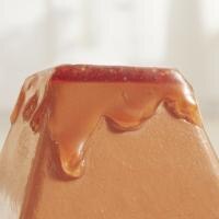 Fancy Feast Gems product closeup showing decadent gravy