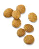 croquetas de pollo con arroz para cachorros de raza grande pro plan focus